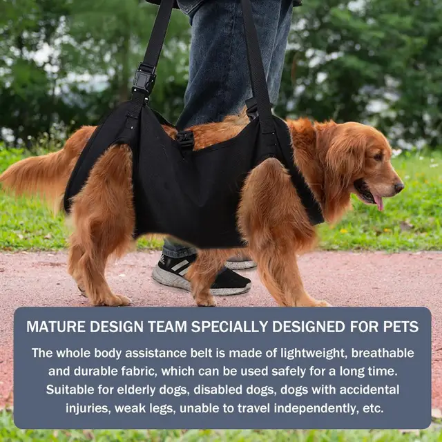 Cintura Cane Auto Imbracatura Per Cani Con Zampe Deboli Supporto