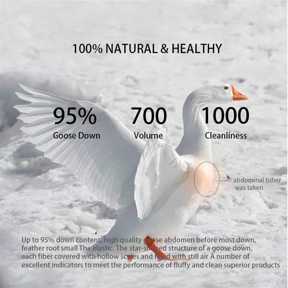 Lofuka Noble 100% ȭ��Ʈ ���� �ٿ� �ʷ�, ��ũ �̺�, �̺� �̺�, ��ư �� 100%, ����� ���Ÿ� ���, 3D ��