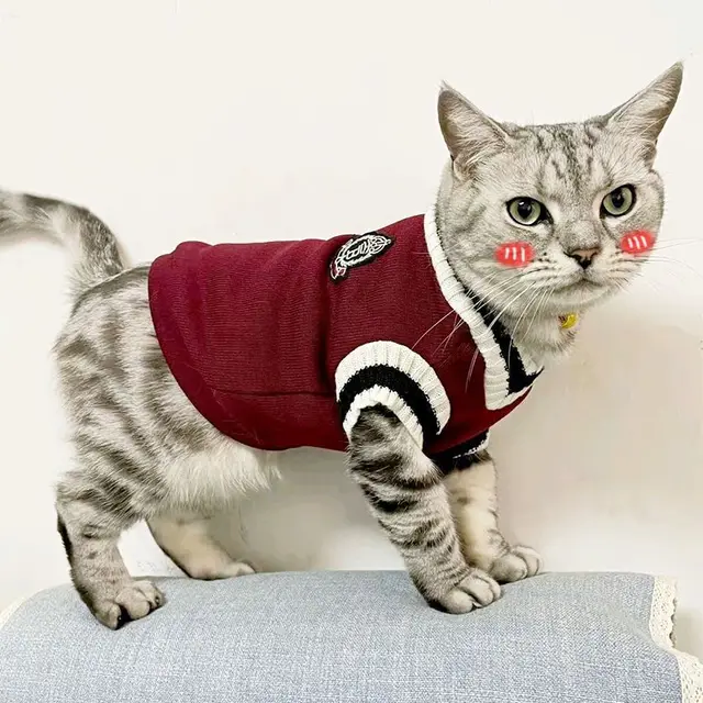 Pet Dog Knitted Sweater Clothes for Small Medium Dogs,Winter Warm Padded V-neck Dog School Uniform,Chihuahua French Bulldog Coat 4