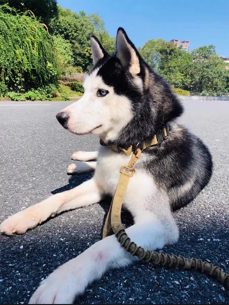 S03fa7273a2f4419a9a935c0d4d2e77917