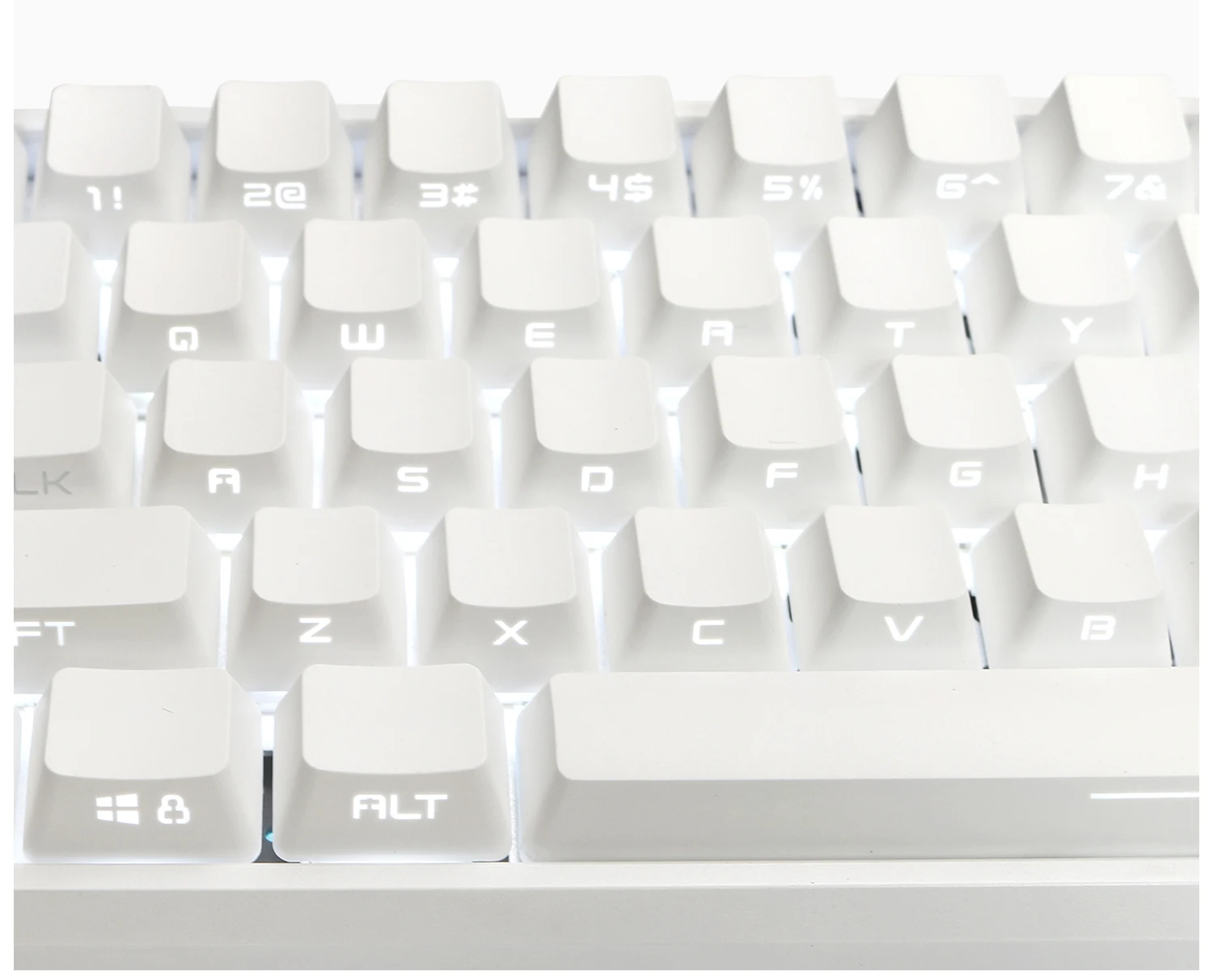 Mouses e teclados