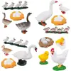 New Animal Life Cycle Board Children Toys Montessori Teaching Aids Plant Animal Growth Cycle Model Set Preschool Cognitive Toys 4