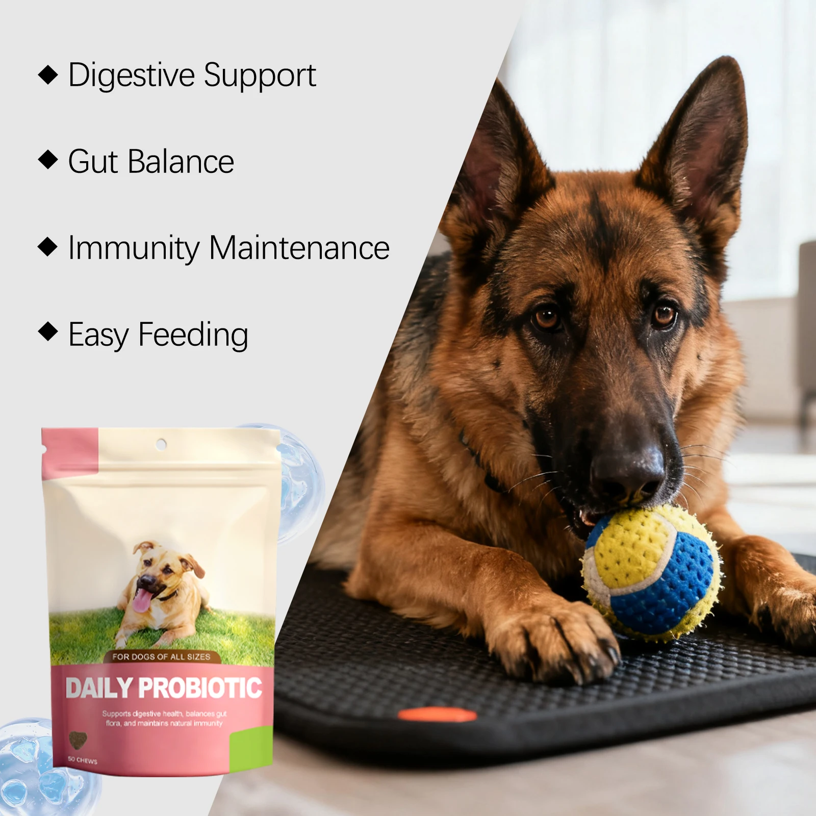 Dog Probiotic Chews Intestinal Gut Health Boost Immune System Balance Digestive Tract Support Dogs Of All Sizes Daily Supplement