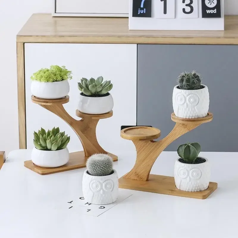 Desktop Creative Flower Rack Succulent Rack Office Living Room Small Flower Display Succulent Small