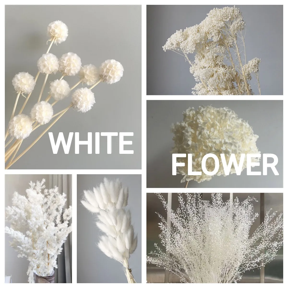 White Dried Flowers Photo Background Home Decor Wedding Decoration