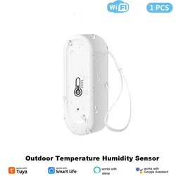 Smart WiFi Thermometer Hygrometer with Remote Monitoring & Voice Control (Outdoor WiFi)
