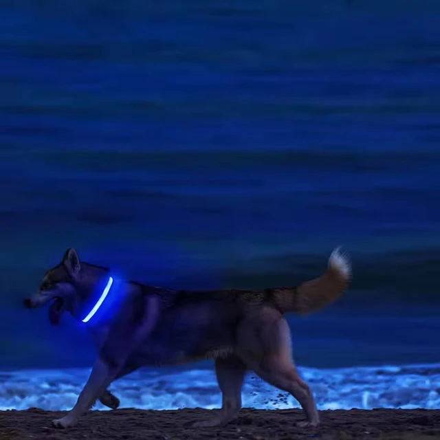 LED Night Safety Dog Leash 4