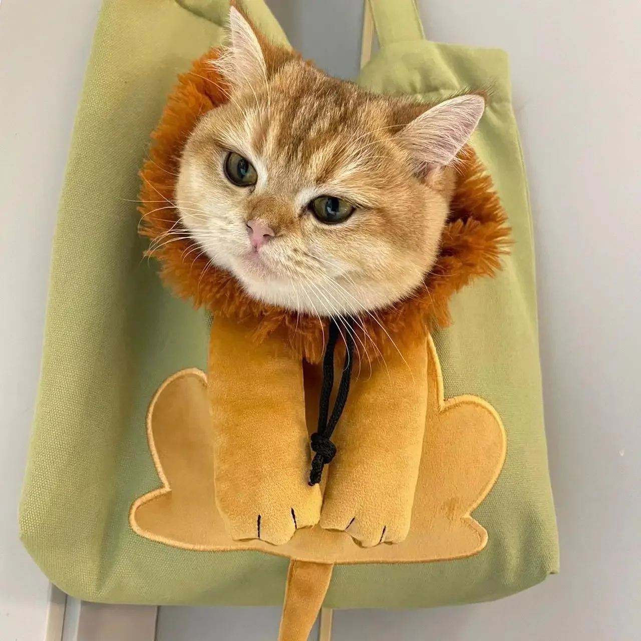 Cat Carrier Bag Canvas Portable Bees Shoulder Carrier For Dogs Backpack Out Travel Backpack Outdoor Dog Lion Bag