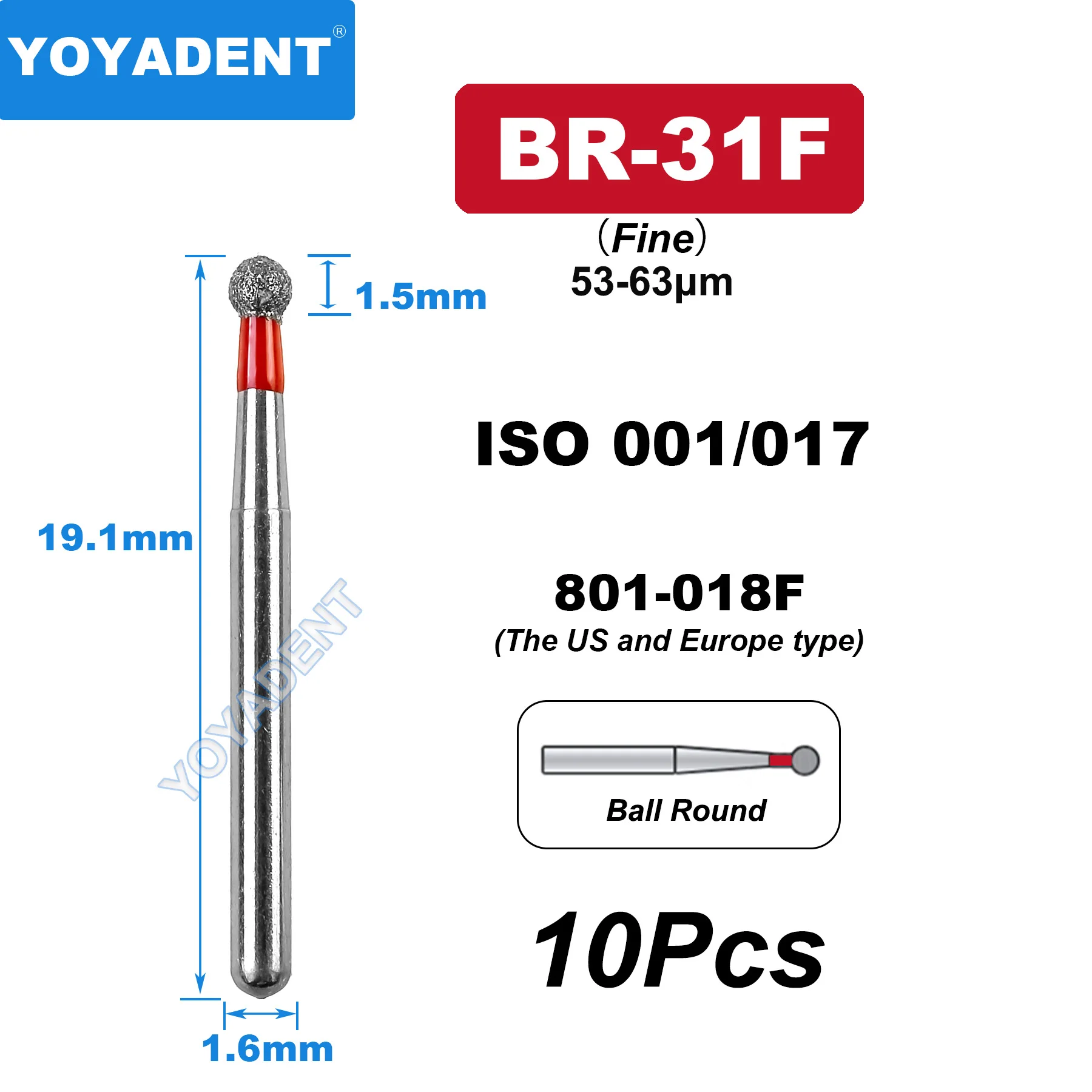 BR-31F