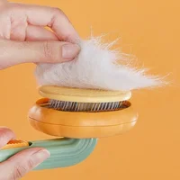Fast Delivery Flower Pumpkin Shape Eco-Friendly Stainless Steel & ABS Pet Grooming Brush Sunflower Cute Hair Cleaner Comb 2