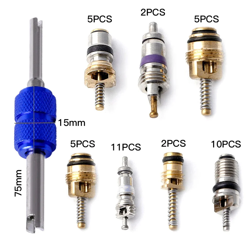 Kit d'accessoires de noyau de valve de climatisation - Assortiment de 102 pièces A/C R134a/R12 - Réfrigération avec extracteur à double tête Kit d'accessoires de noyau de valve de climatisation - Assortiment de 102 pièces A/C R134a/R12 - Réfrigération avec extracteur à double tête