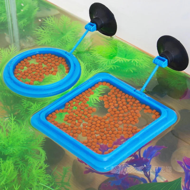 Fish Feeding Ring Equipped Suction Cups Portable Circular Square Aquatic Animal Feeder Fish Tank Aquarium Feeding Tools Fish Feeding Ring