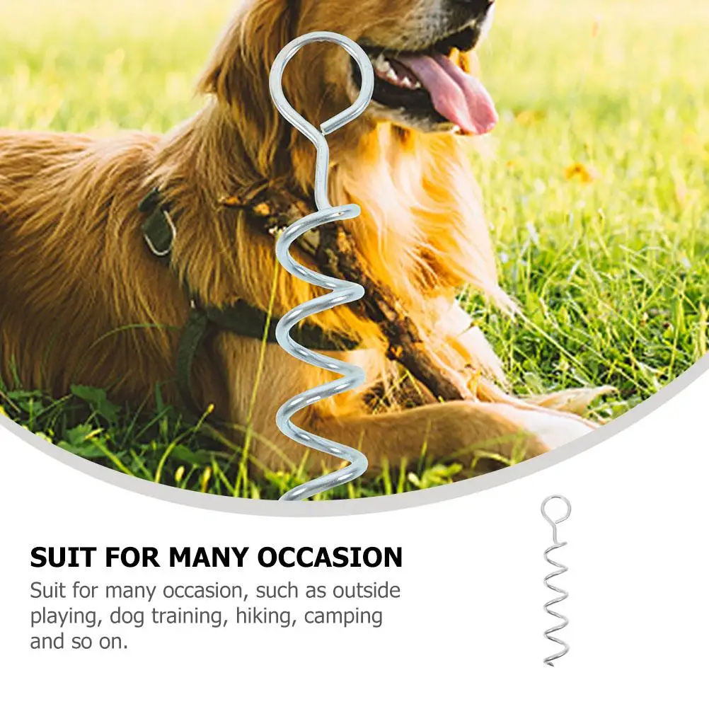 Dog Tie-out Stake for Ground 2