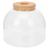 Glass Terrarium Vases Micro Landscape Ecological Bottle Plant Pots Storage Jar Moss Container Flower Vase Home Decor Green Plant 2