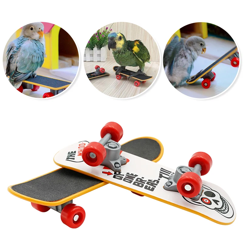 Bird Supplies Mini Skateboard Funny Training Bird Toys Skates Lovebird Canaries Perch for Parrots For Birds Birds Accessories