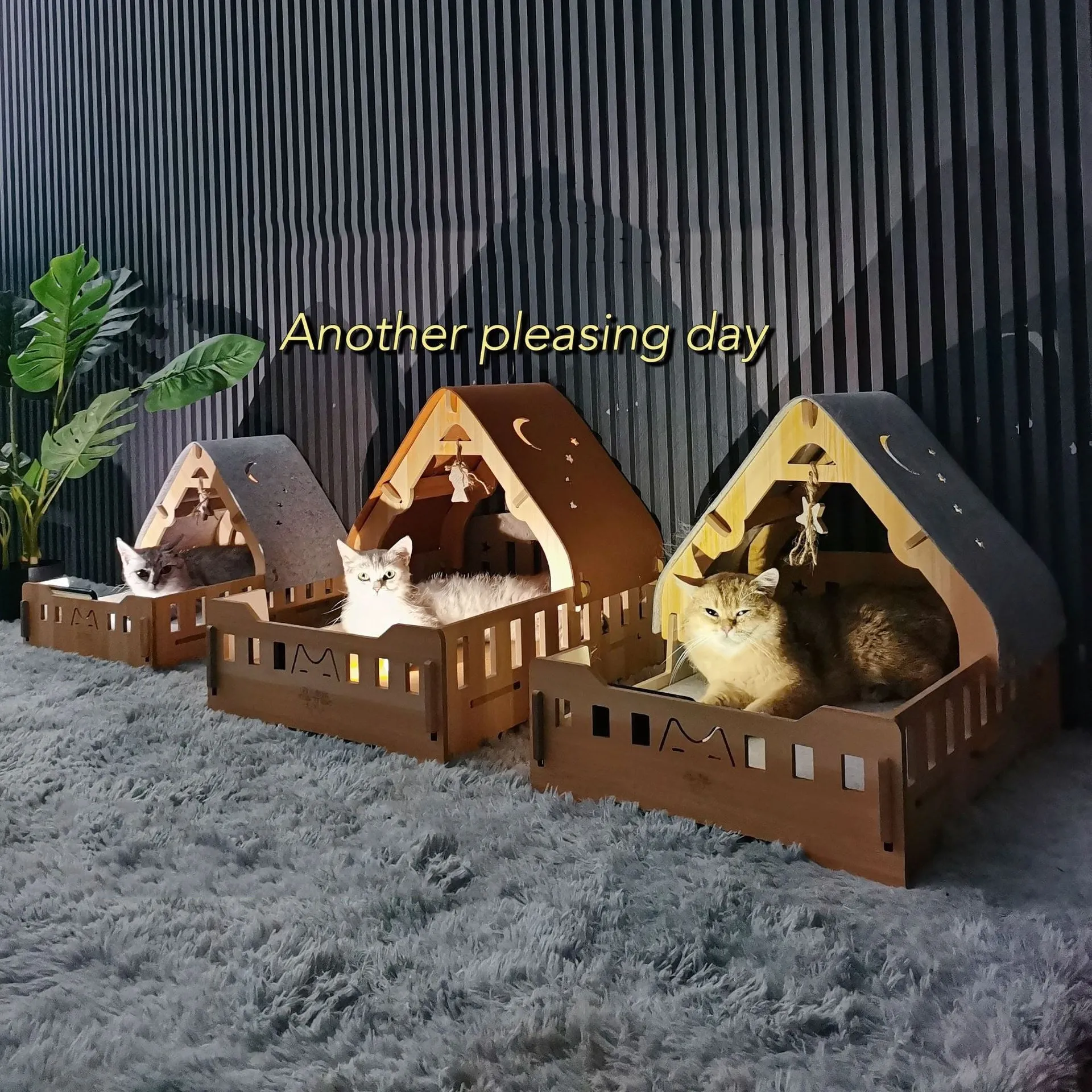169940-d34768.jpg