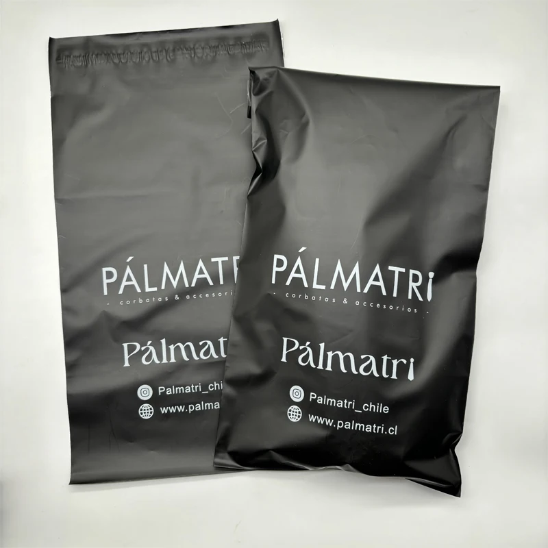 Рисунок 3 - Пользовательский логотип