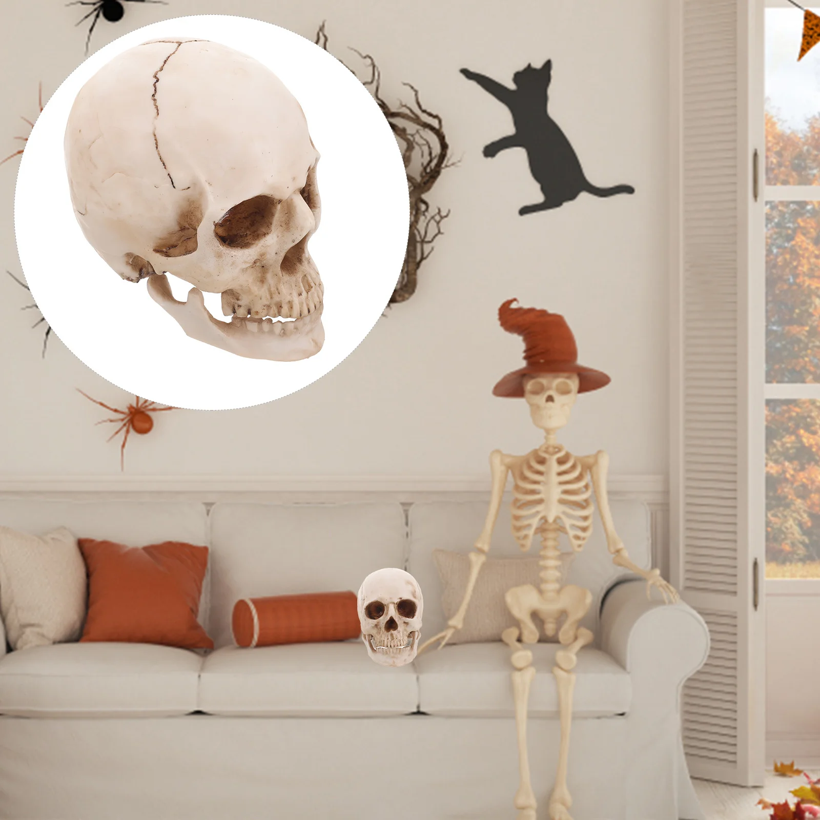 

Human Skull Model for Medical Replica Anatomical and Tracing Use Resin