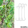 13/16CM Tomato Support J Hooks Plant Support Vegetable Clips To Prevent Tomatoes Fruit Cluster From Pinching or Falling Off 2