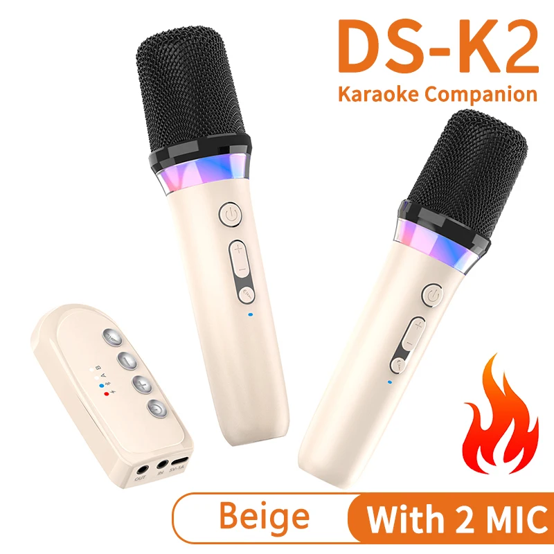 DS-K2 カラオケコンパニオン Bluetooth 5.3 ワイヤレスダイナミック