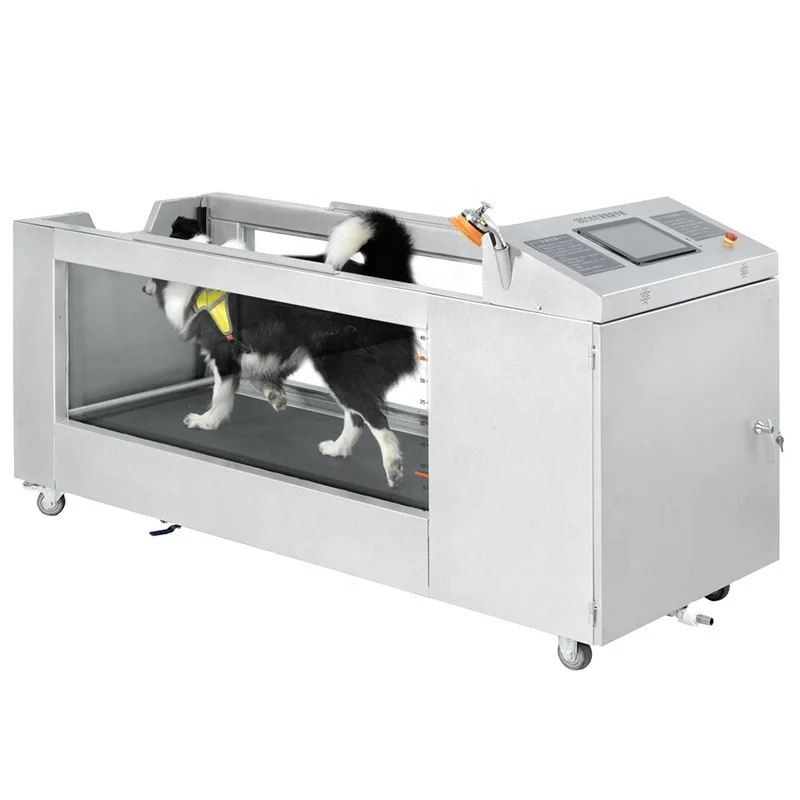 Medical-Rehabilitation-Pet-Treadmill-Electric-Dog-Underwater ...