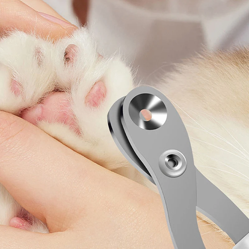원형 구멍 고양이 손톱 가위, 전문 애완견 손톱깎이, 발가락 발톱 트리머, 소형견용 반려동물 손질 용품 제품