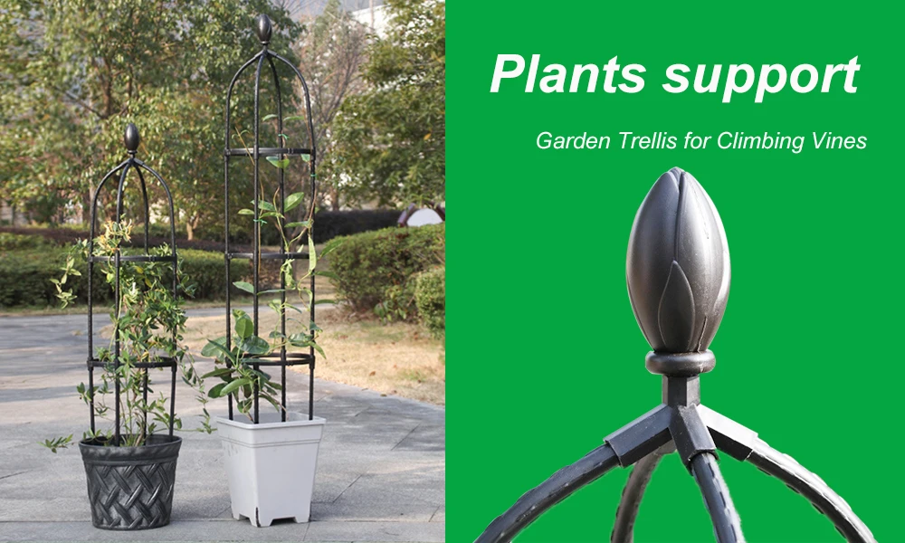 Th Cactus Shape Garden Metal Climbing Support Stake Stand Frame For