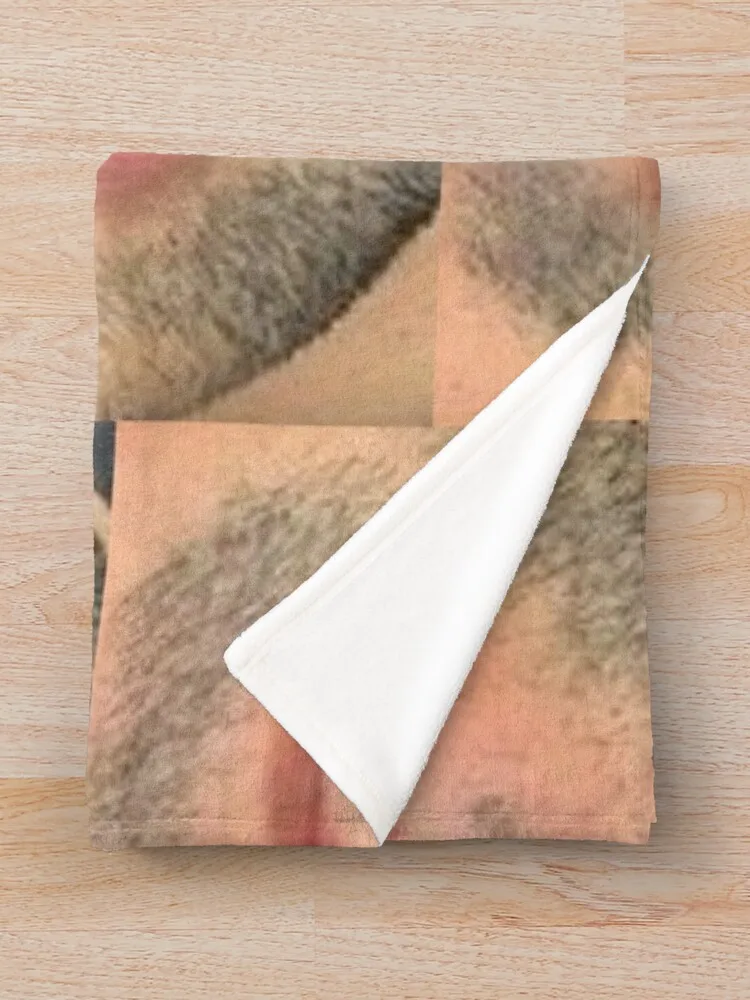 �� ������ �̶��� �Լ� ���� ������ ���, �ٸ��� ��Ʈ�� ���, ��� ���