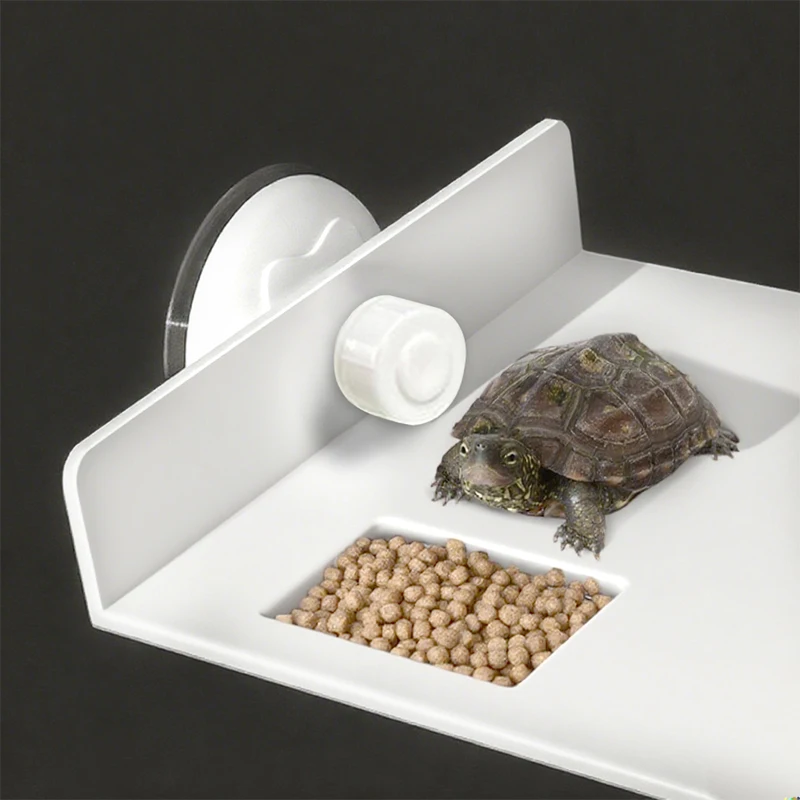 Turtle Drying Platform 2