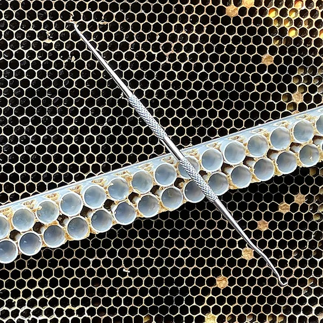 1Pc Stainles Acél Tű Méhészet Királynő Lárva Átadása Kettős Célú Műszakos Féreg Mozgó Oltó Szerszám - Image 5