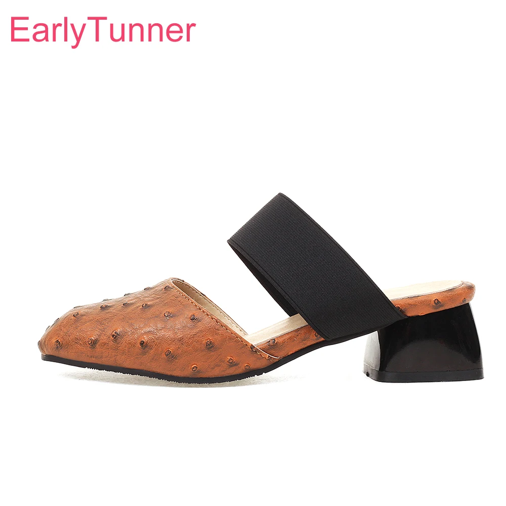 

New Summer Sexy Brown Red Women Casual Sandals Fashion Med Sqaure Heel Lady Beach Shoes Plus Small Big Size 10 32 43 45 48