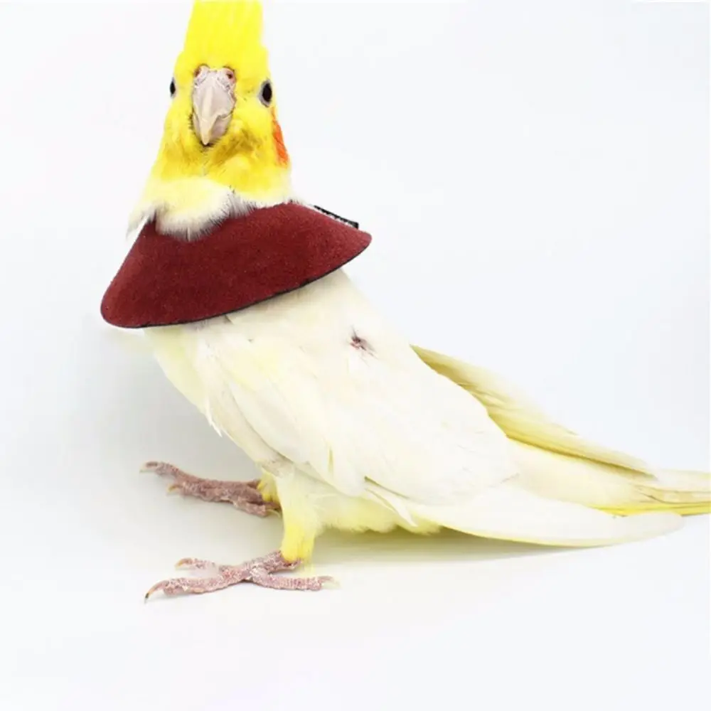 Anti-peckin Bird Accessories Anti-bite Adjustable Bird Recovery Collar Parrot Elizabethan Circle Neck Sleeve Cloak
