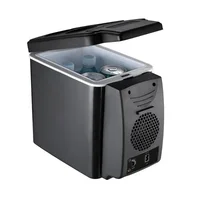 Boîte à glace Portable pour voiture électrique 6L 12V, Mini réfrigérateur et congélateur pour véhicule, réfrigération et chauffage, appareils électroniques pour voiture 1