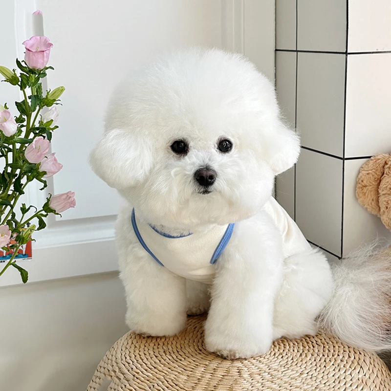 벨벳 코튼 애완 동물 조끼 테디 비숑 풀오버 푸들 귀여운 자수 티셔츠, 핑크 돼지 개 옷, 여름 신상