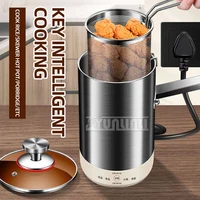 304 Stainless Steel Electric Oil Fryer Multifunctional French Fries Chicken Fryer Cooking Pot 1