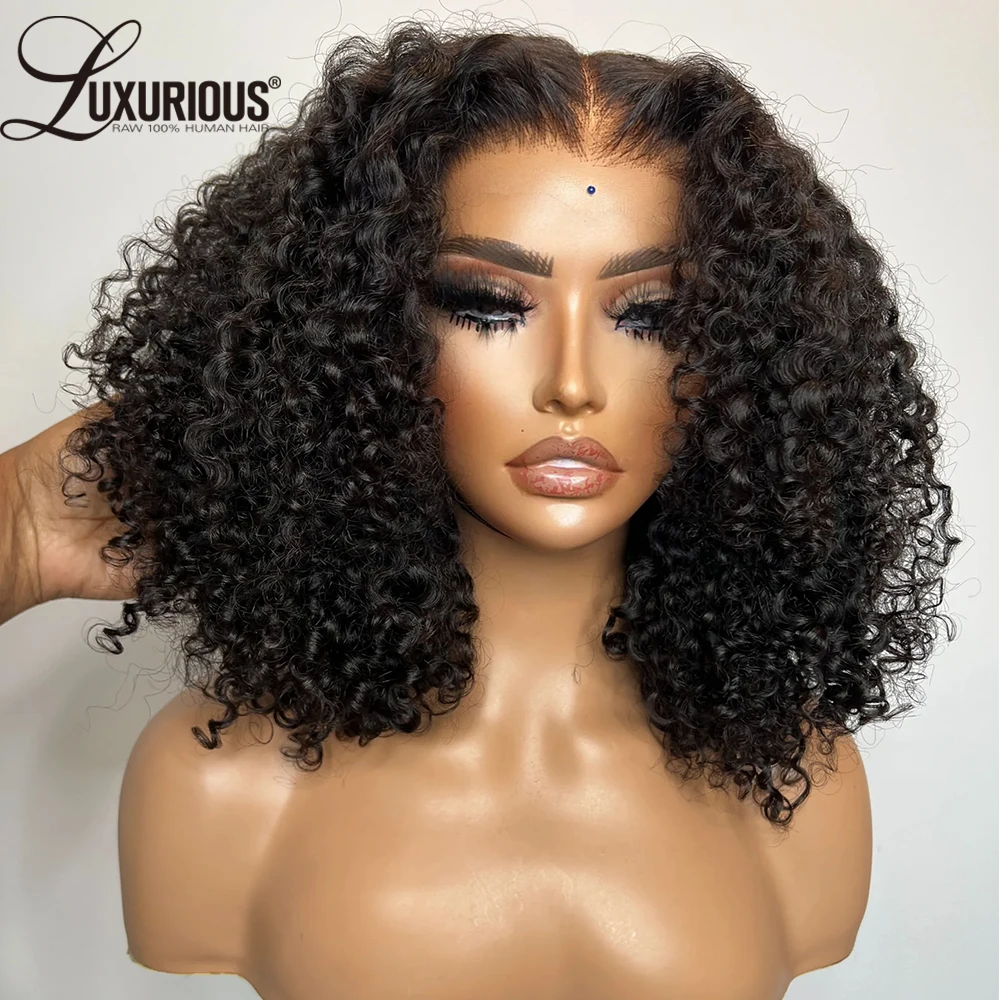 Vietnam Glueless Latin Curly Human Hair Wig Bleached Knots 360 Pre-Cut Lace Wig Wear And Go 13x4Lace Frontal Human Hair 250%