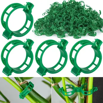 Plant Support Clips for Climbing Vines 1
