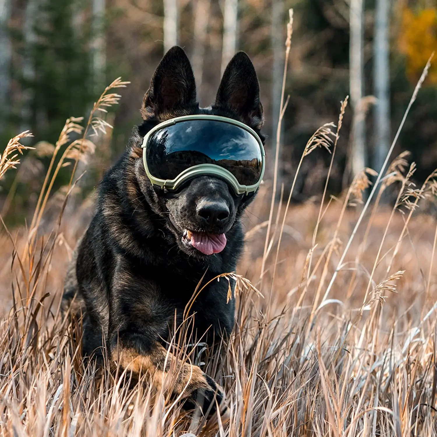 ATUBAN Dog Goggles Anti UV Strong Impact Resistance Adjustable Elastic Puppy Large Breed Dog Goggles Breathable Pet Sunglasses pet sunglasses