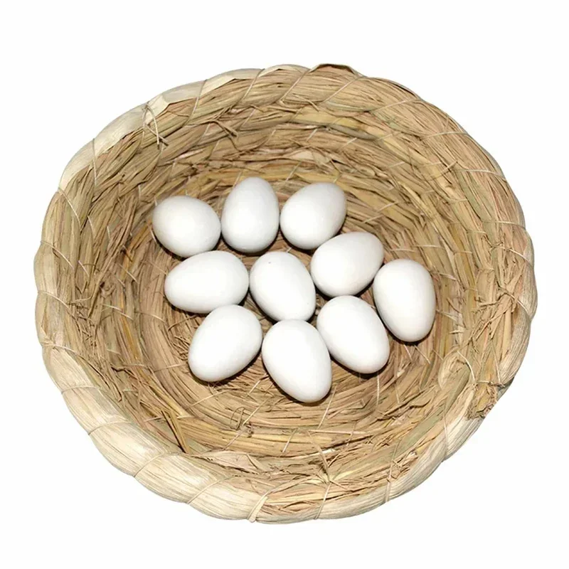 10PCS Imitation Fake Pigeon Eggs Plastic Solid White Pigeon Eggs Bird Training Supplies Children Toys Breeding Supplies - Image 5