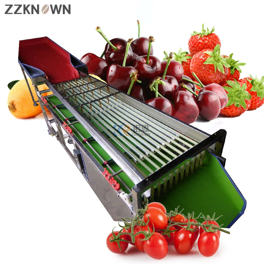 Speed Adjusted Automatic Fruit Vegetable Sorting Grading Machine