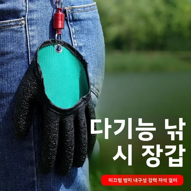  ߿  尩  ̲   īο ü  ٴ  ̳    尩