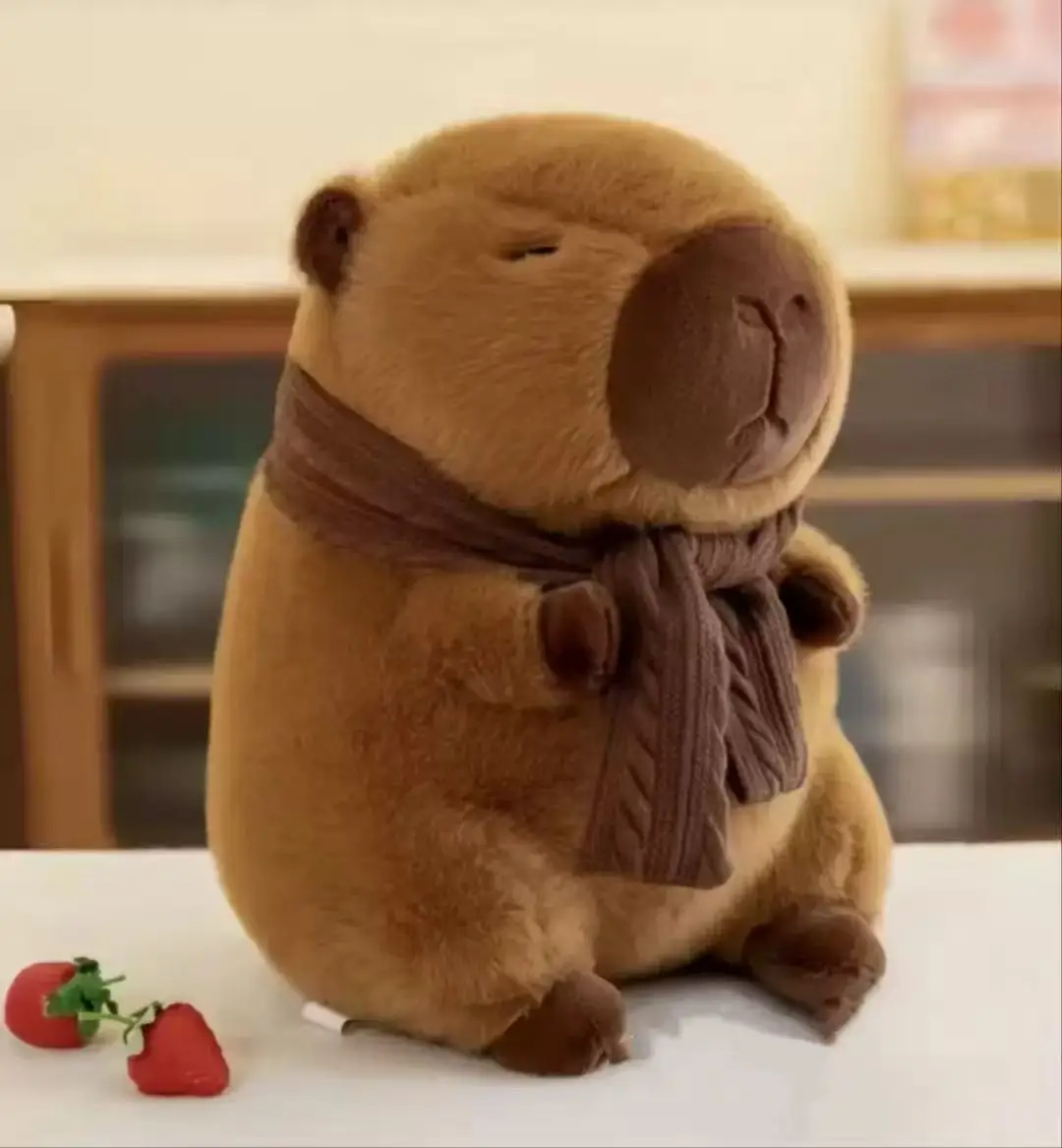 Capybara Plush Toy Packaging
