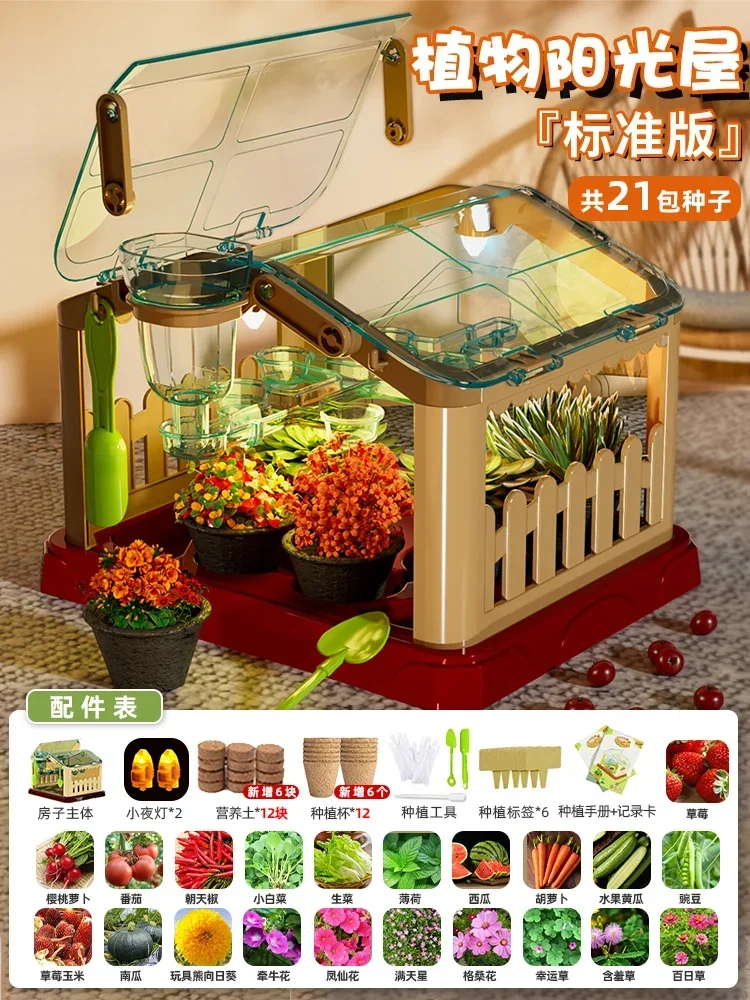 منزل زراعة أشعة الشمس للأطفال تجربة علمية صندوق مر...