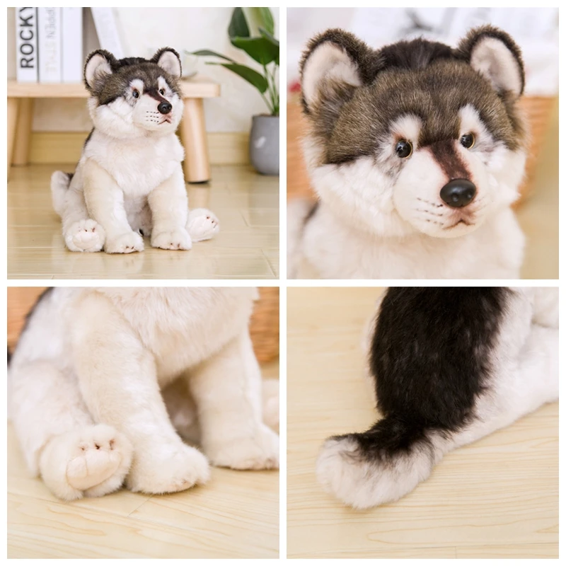 1pc 사랑스러운 시뮬레이션 실물 같은 개 어린이 인형 Corgi Bulldog Pomeranian 박제 애완 동물 부드러운 동물 장난감 어린이 생일 선물