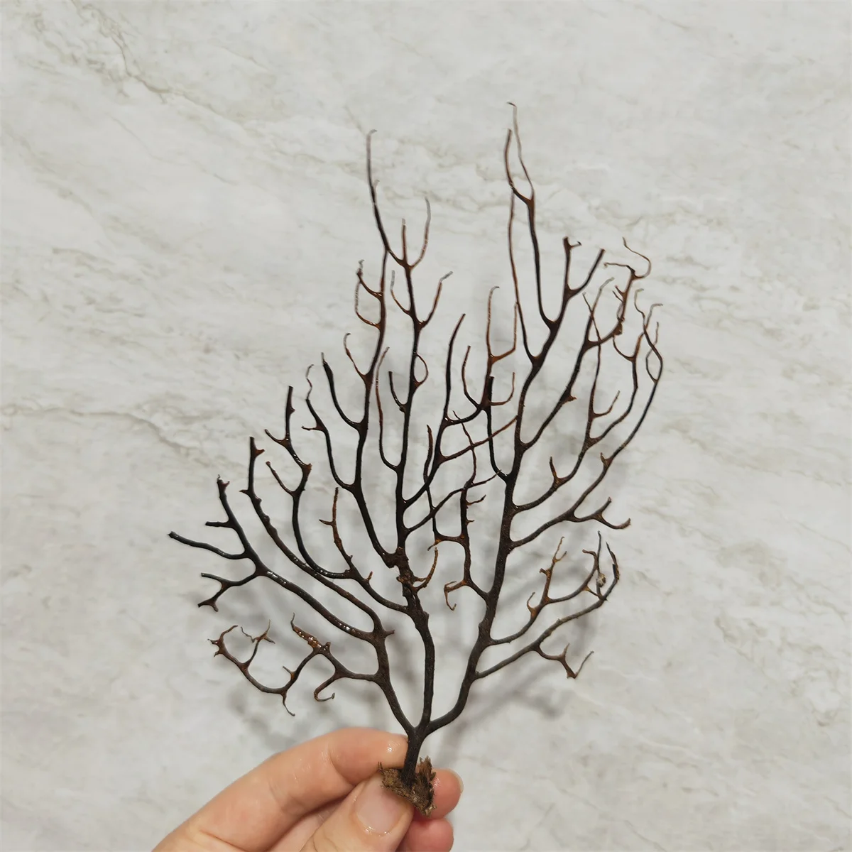 Fish Tank Trunk Decoration Fai Da Te Driftwood Plants Landscape Natural Coral Black Coral Aquarium Aquario Decor Ornament