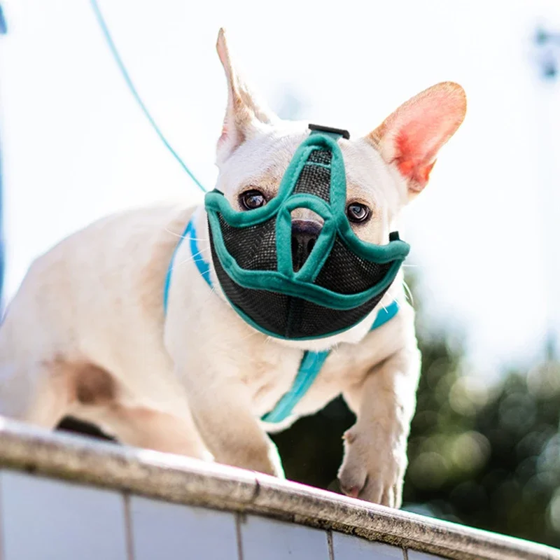 Pet Dog Muzzles Adjustable French Bulldog Muzzle Dog Mouth Mask Breathable Muzzle for Anti Stop Barking Supplies Prevent Biting dog muzzle