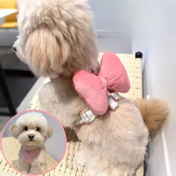 Set Pettorina e Guinzaglio per Cuccioli con Fiocco Coreano, per Cani di Piccola e Media Taglia, Yorkshire, per Uso Esterno