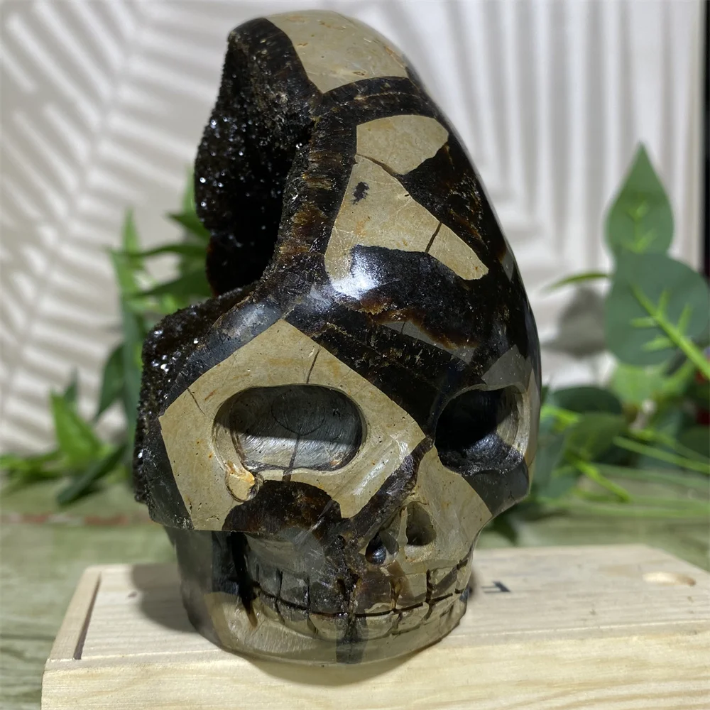 

Septarium Skull Crystal Naural Craft Cranium Handmad Spiritual Mineralsl Feng Shui Reiki Stone Quartz Carving Home Decoration