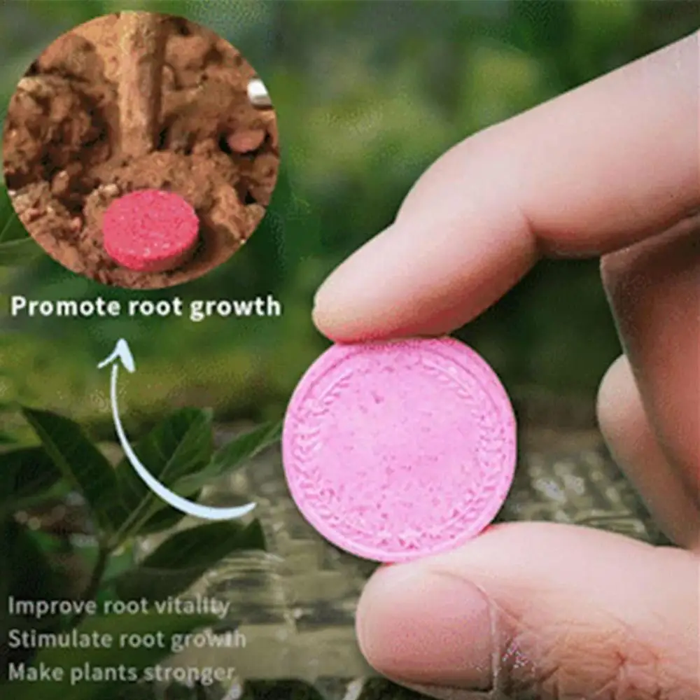 Description Picture 2 of item22pcs Gardening Universal Slow-Release Tablet Organic Fertilizer Plant Flowers Nitrogen Phosphorus Potassium Slow Release Agent
