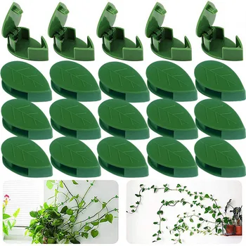 Dispositivo da parete per piante rampicanti Staffa per vite in rattan Fibbia fissa Clip per foglie Supporto per trazione Clip per fissaggio piante Attrezzo da giardino 1